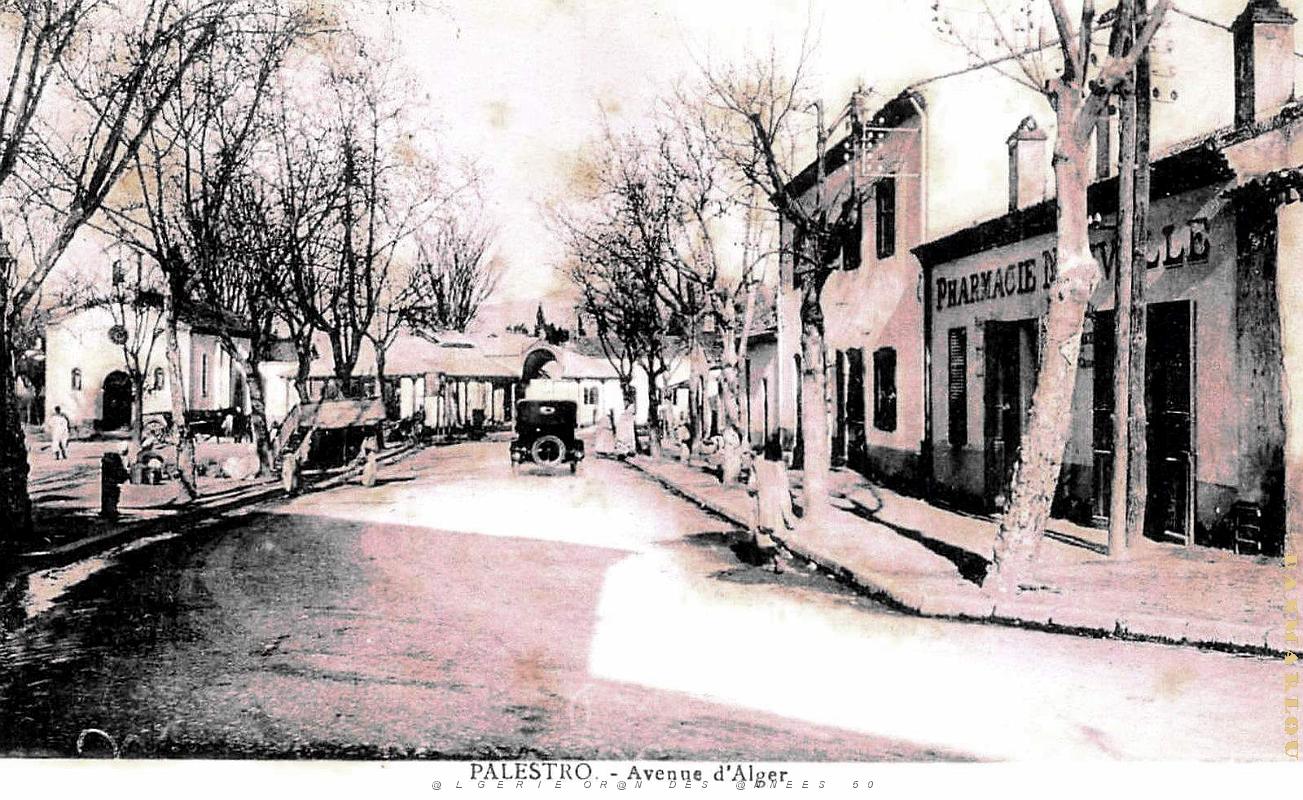 Palestro - Avenue d'Alger.jpg